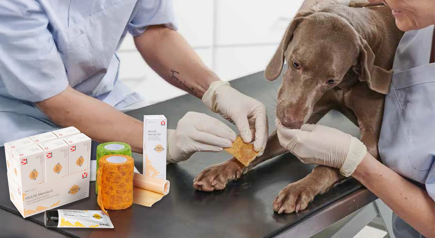 Curaciones de Lesiones